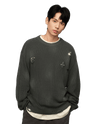1010334-045 | MEN'S IRIS LOGO RIPPED COTTON SWEATER | DARK SHADOW