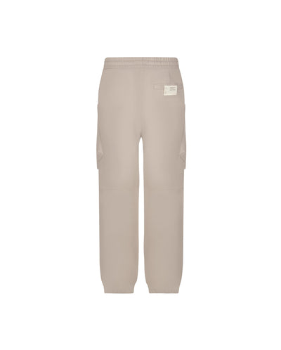 1011258-050 | MEN'S CARGO JOGGER PANTS | MOON ROCK