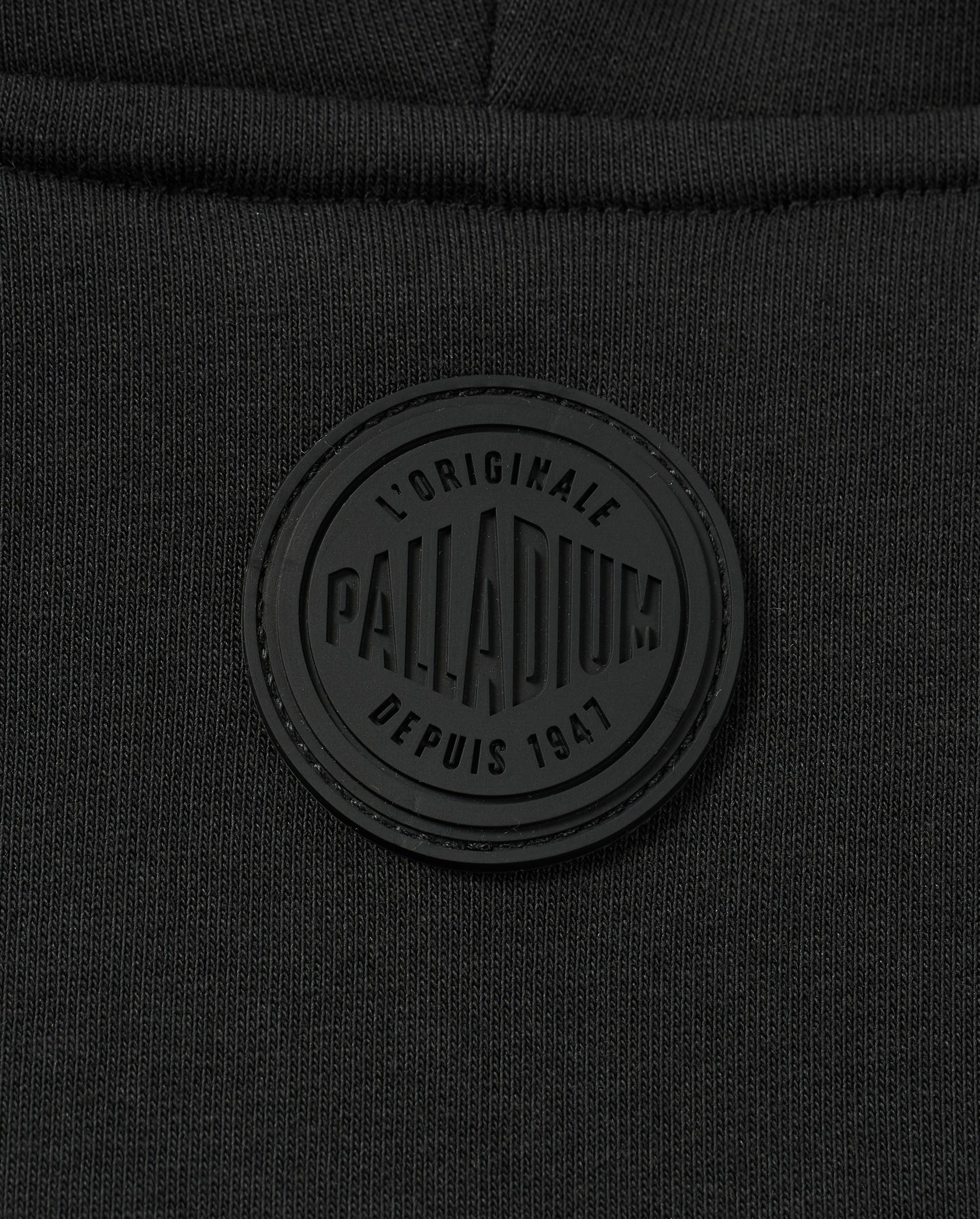 1011261-032 | MEN'S PALLADIUM LOGO COLOR BLOCKS HOODIE | TAP SHOE