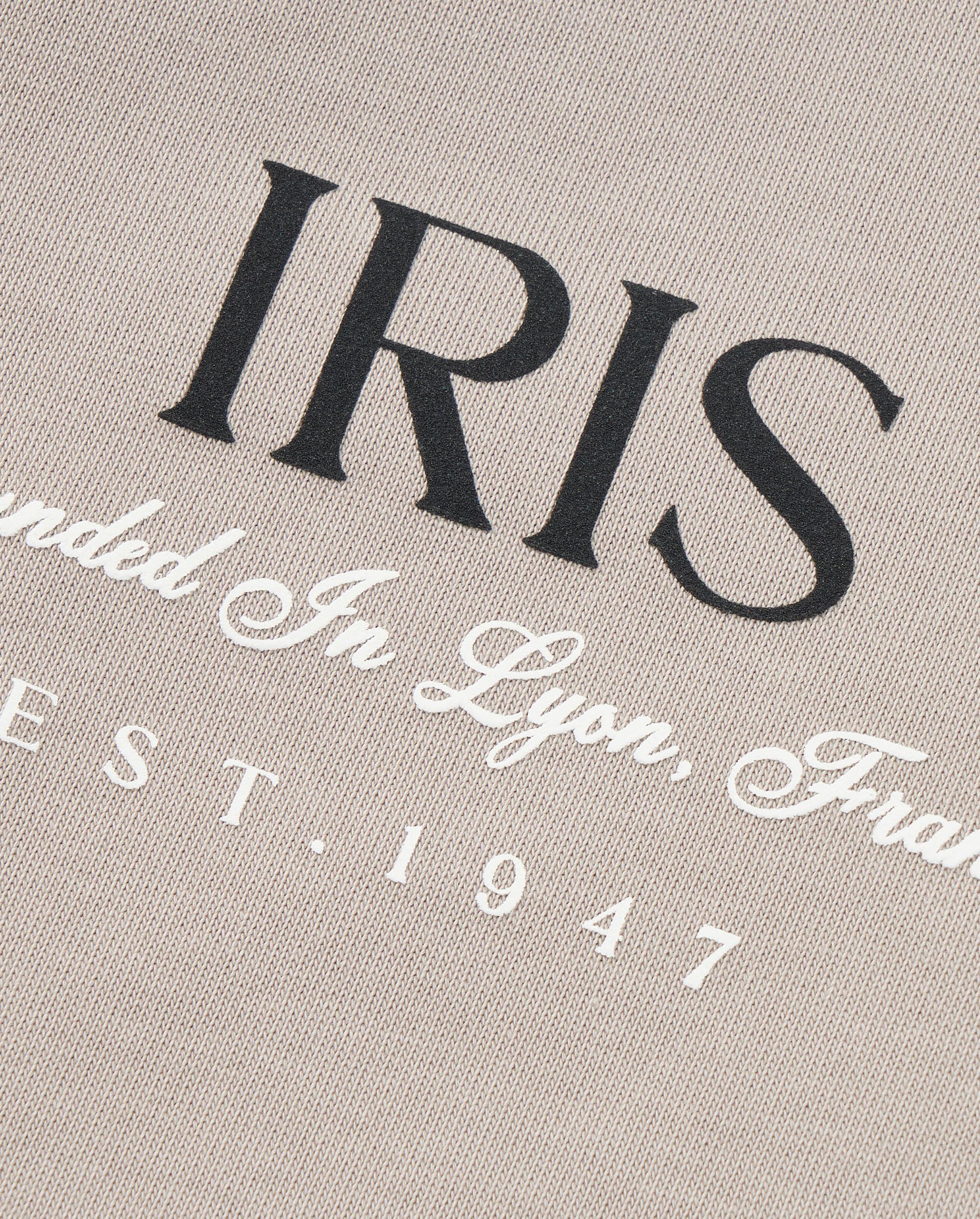 1011280-050 | MEN'S IRIS LOGO VINTAGE LOOSE FIT T-SHIRT | MOON ROCK