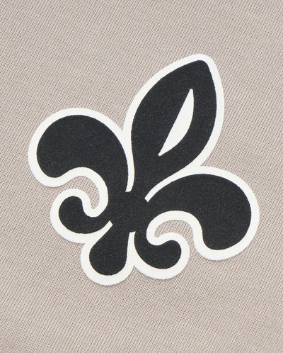 1011280-050 | MEN'S IRIS LOGO VINTAGE LOOSE FIT T-SHIRT | MOON ROCK