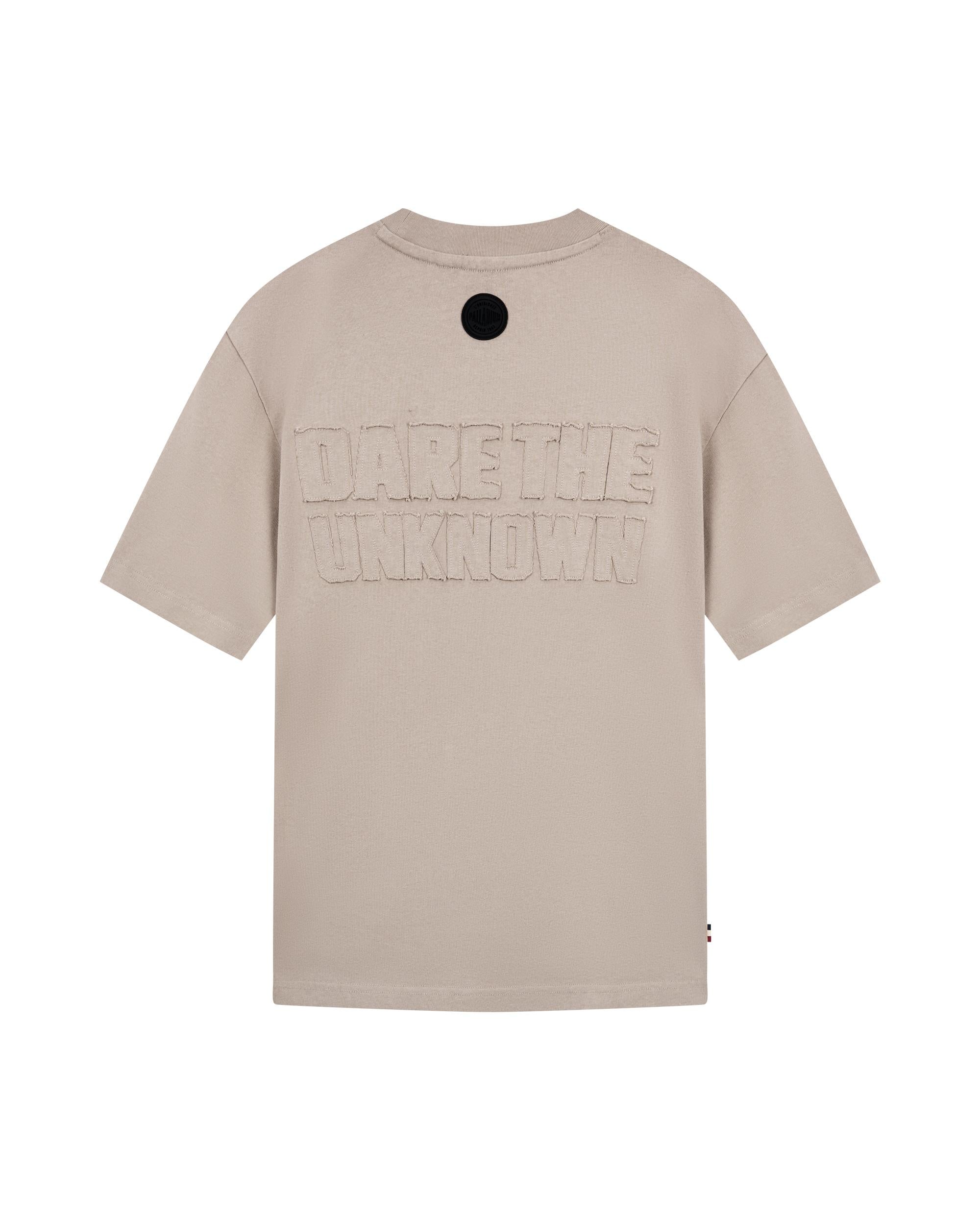 1011327-050 | MEN'S PALLADIUM LOOSE FIT COTTON T-SHIRT | MOON ROCK