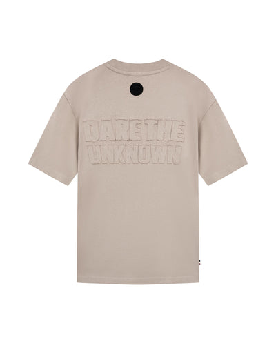 1011327-050 | MEN'S PALLADIUM LOOSE FIT COTTON T-SHIRT | MOON ROCK