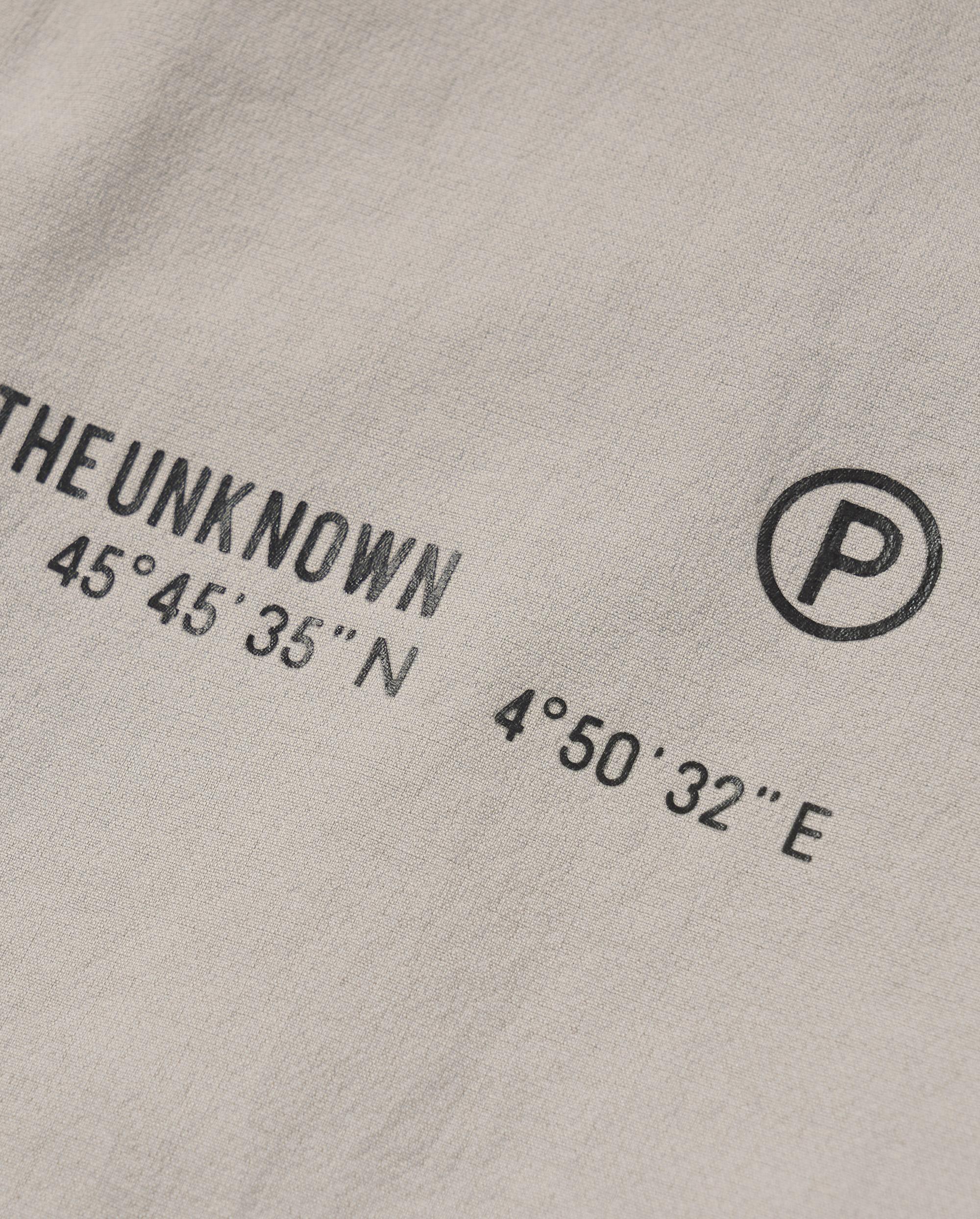 1011335-050 | MEN'S PALLADIUM LOGO BELTED STRAIGHT PANTS | MOON ROCK