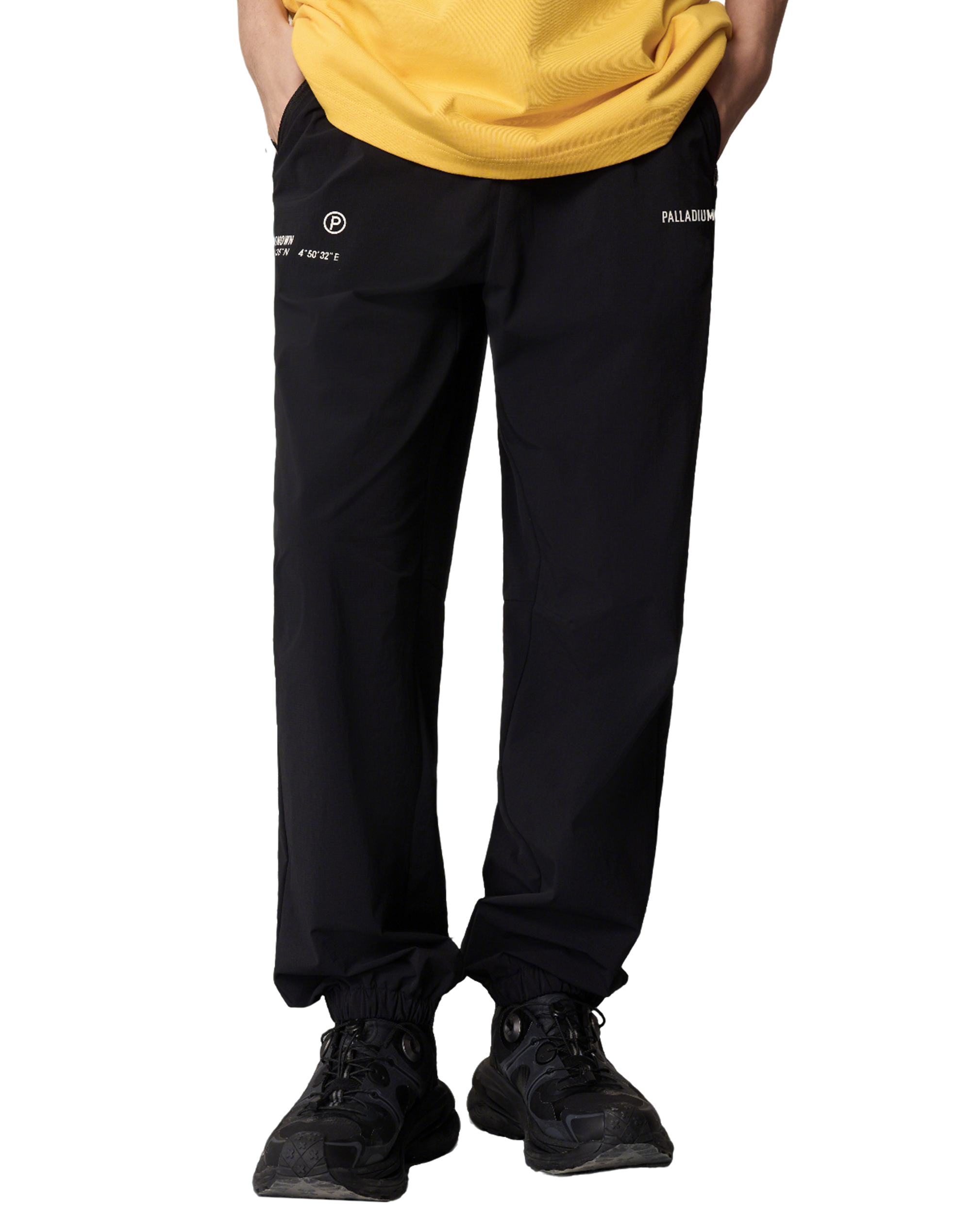 1011342-032 | MEN'S PALLADIUM LOGO JOGGER PANTS | TAP SHOE