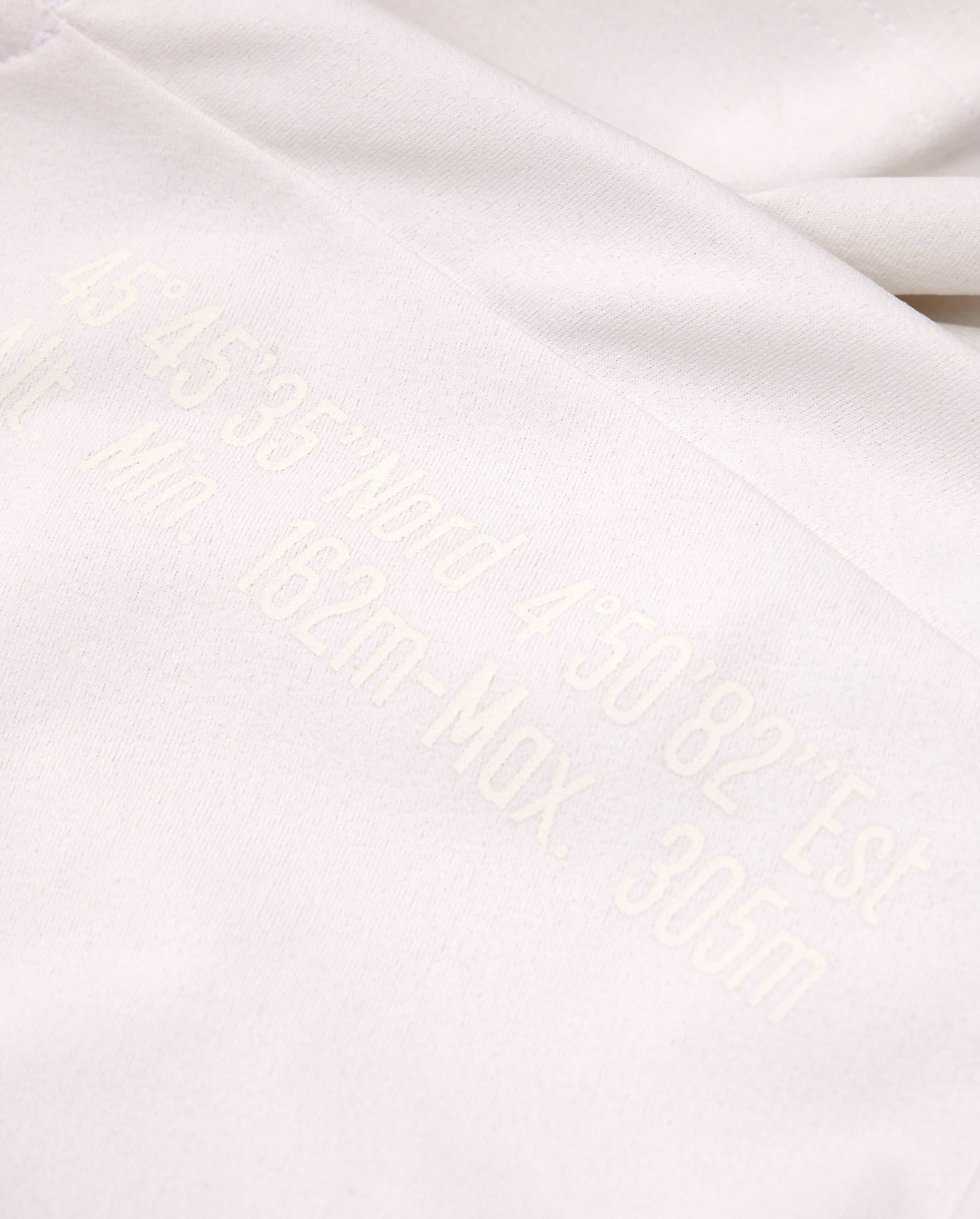 1011533-106 | MEN'S LOGO HENLEY COLLAR POCKET T-SHIRT | GREY WHITE