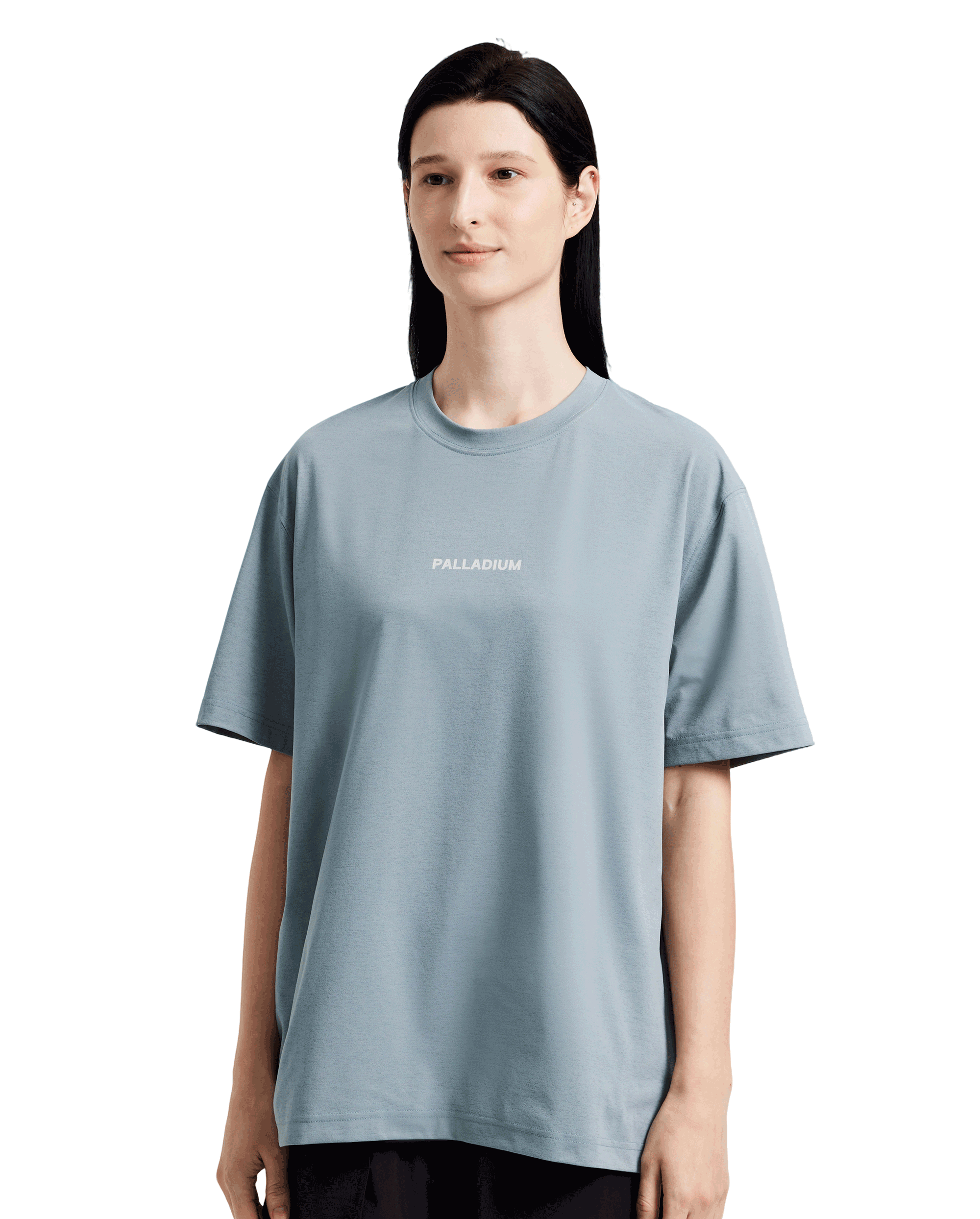 1011535-469 | MEN'S PALLADIUM LOGO T-SHIRT | BLUE GREY