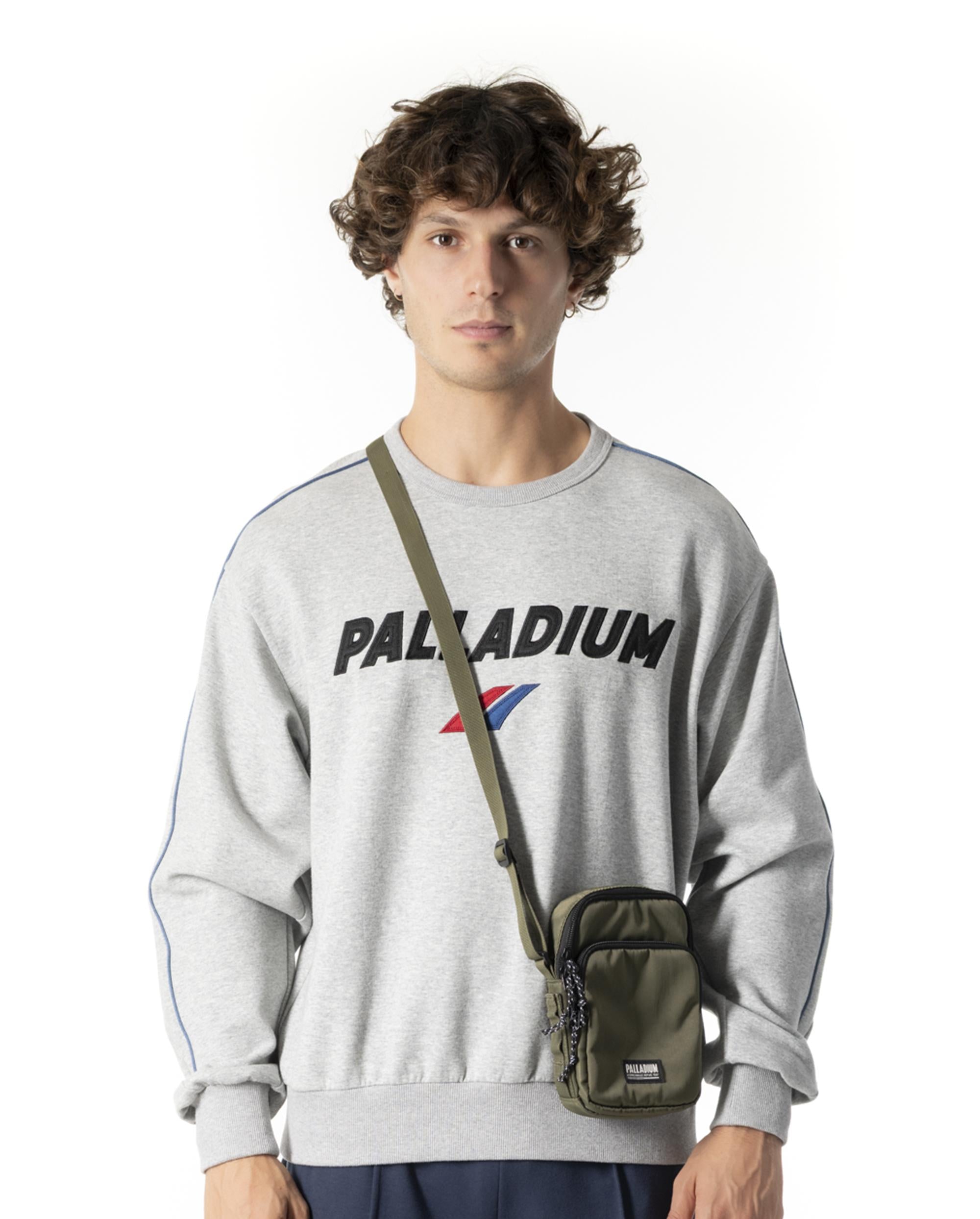 1011726-040 | MEN'S VINTAGE PALLADIUM LOGO SWEATSHIRT | ICEBERG
