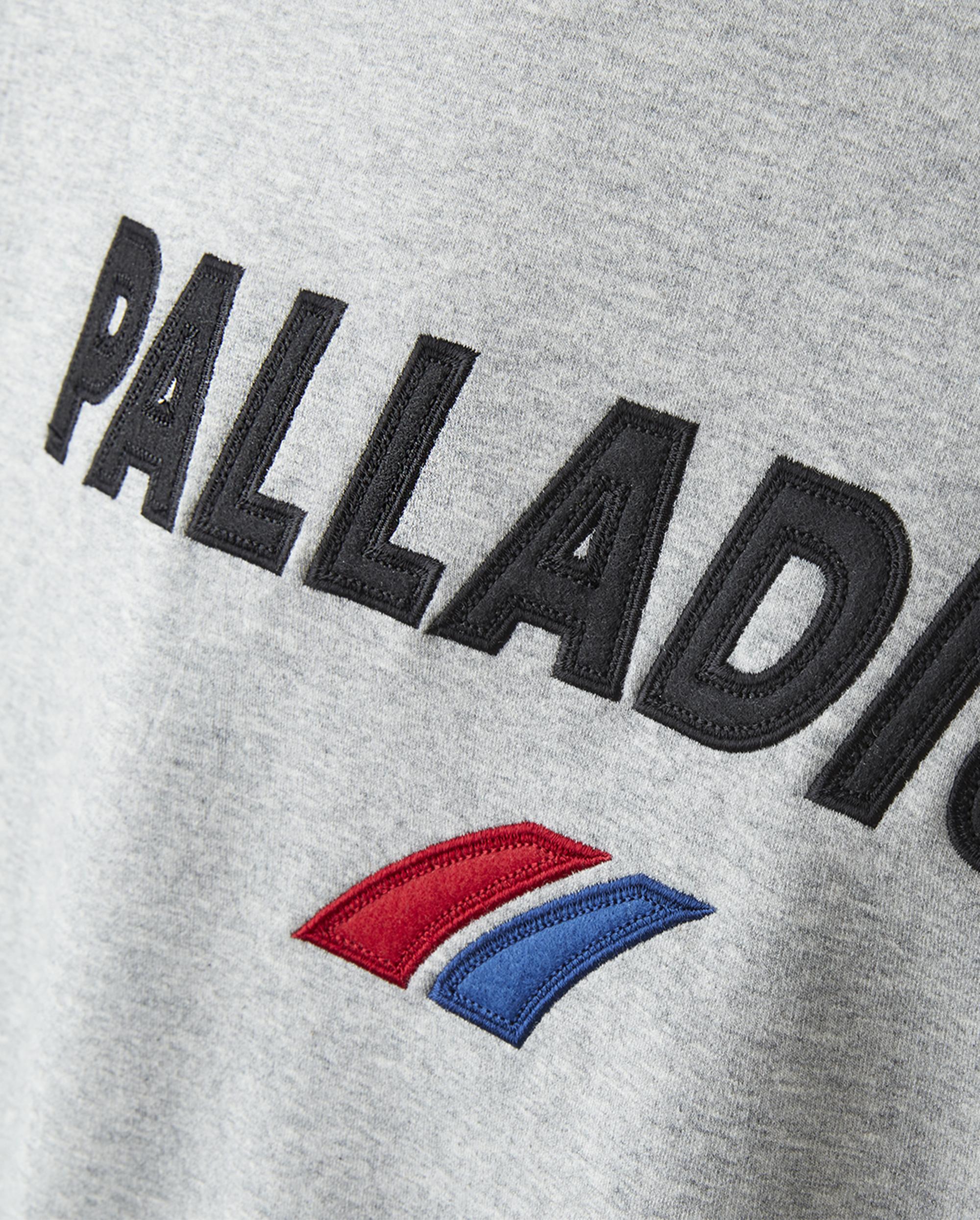 1011726-040 | MEN'S VINTAGE PALLADIUM LOGO SWEATSHIRT | ICEBERG