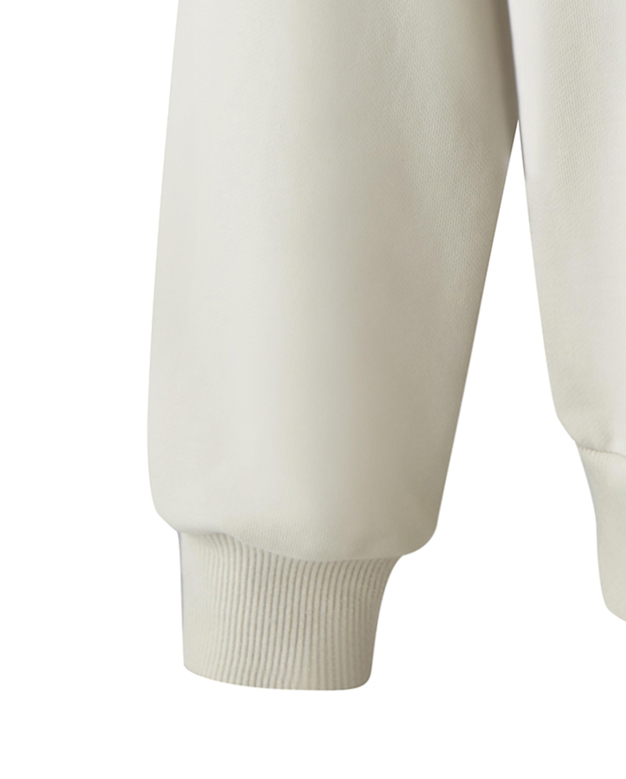 1011733-055 | MEN'S VINTAGE PALLADIUM LOGO HOODIE | MOONSTRUCK