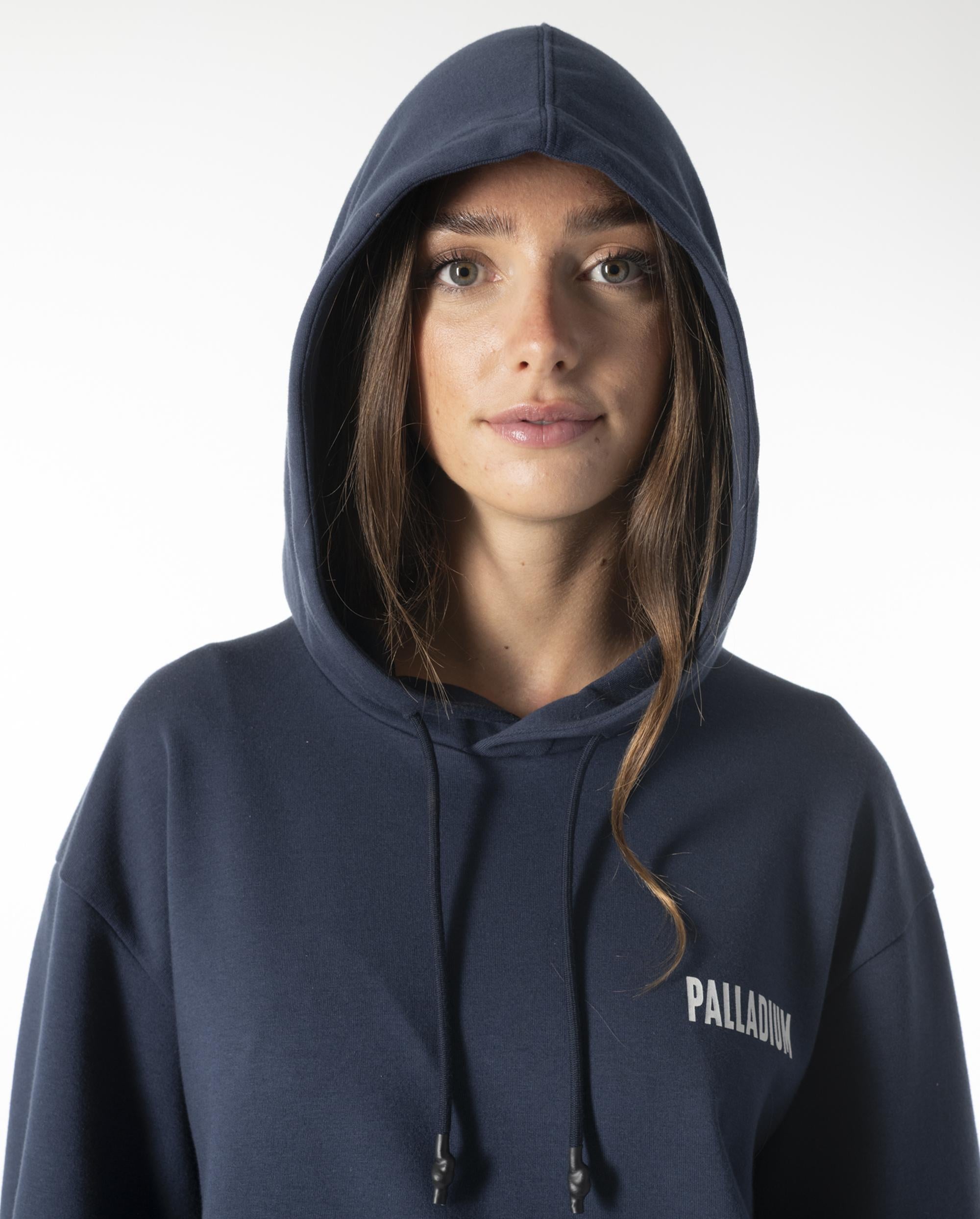 1011733-480 | MEN'S VINTAGE PALLADIUM LOGO HOODIE | OMBRE BLUE