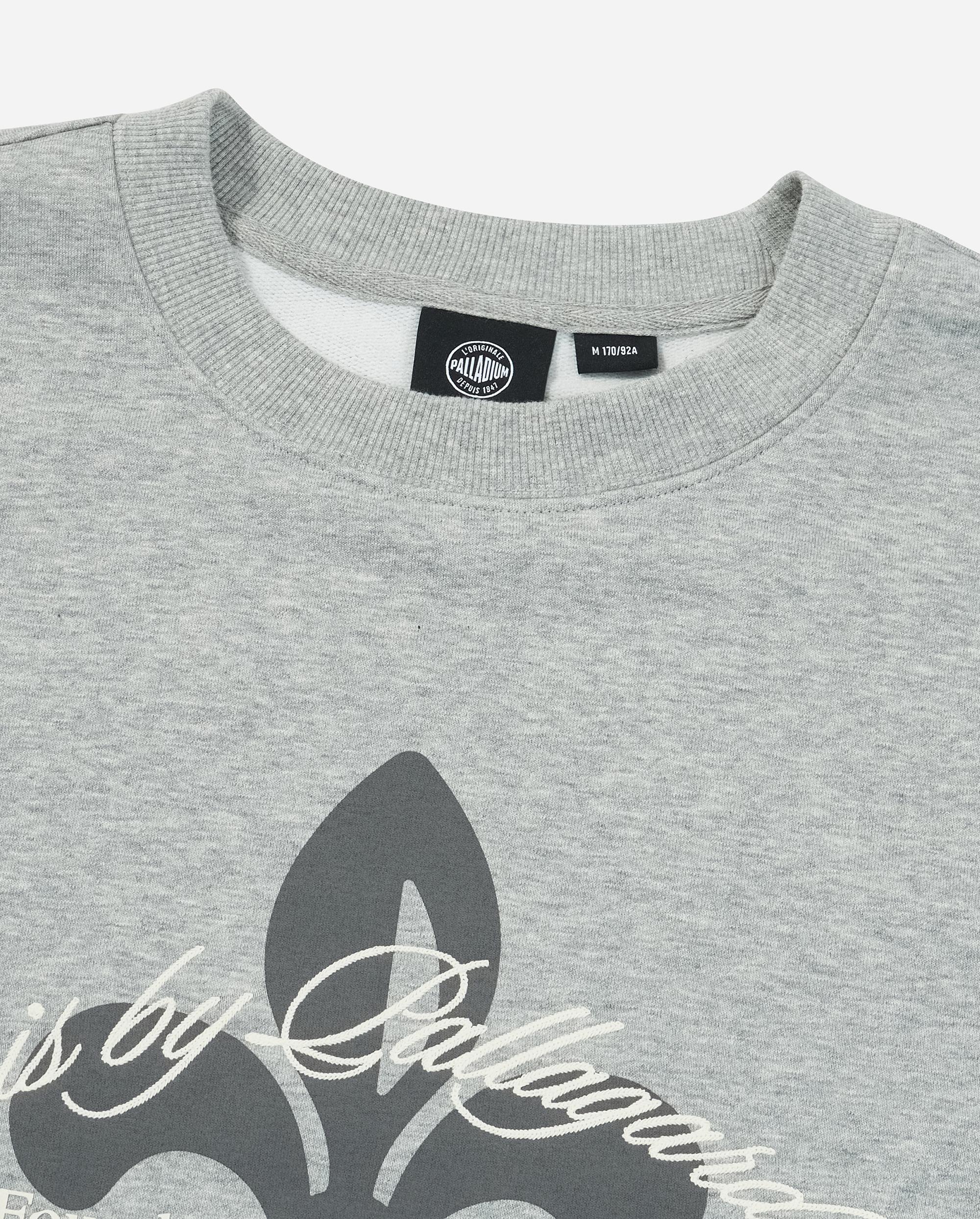 1011897-081 | MEN'S IRIS THEME PRINTED SWEATSHIRT | GREY