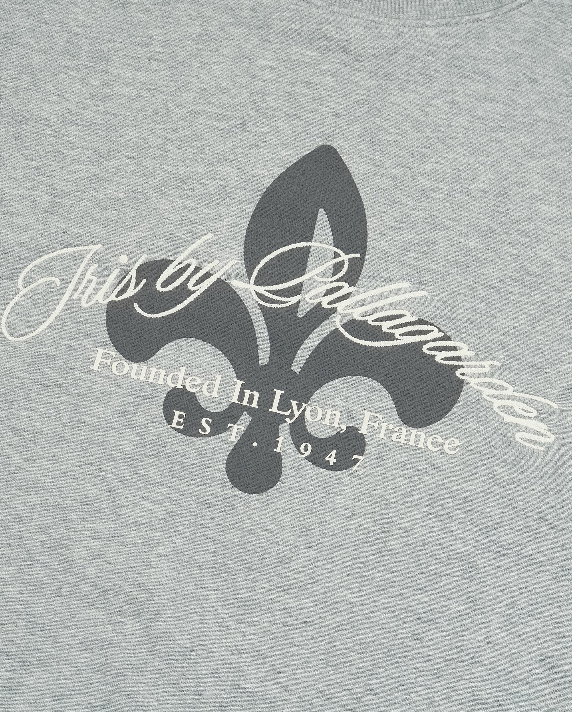 1011897-081 | MEN'S IRIS THEME PRINTED SWEATSHIRT | GREY