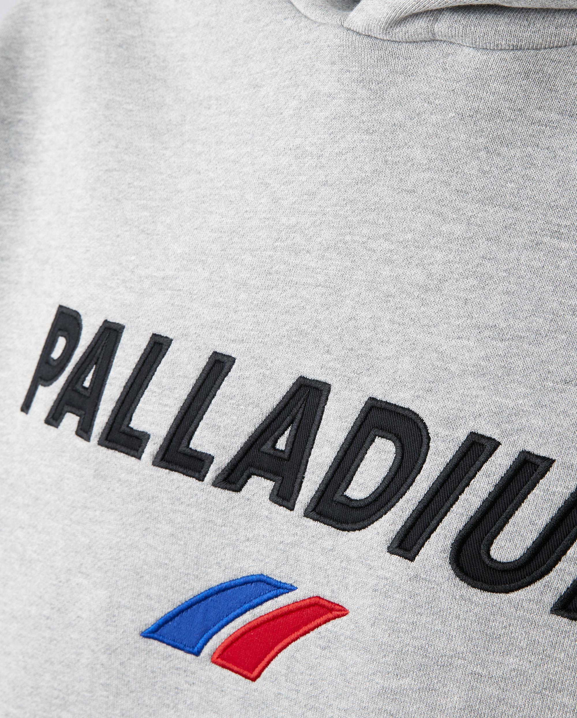 1012305-082 | MEN'S PALLADIUM LOGO HOODIE | WARM SILVER