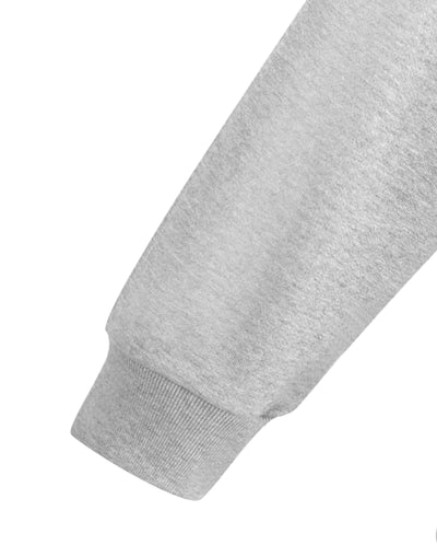 1012305-082 | MEN'S PALLADIUM LOGO HOODIE | WARM SILVER