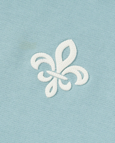 1012764-456 | MEN'S IRIS LOGO COTTON HOODIE | CLOUD BLUE