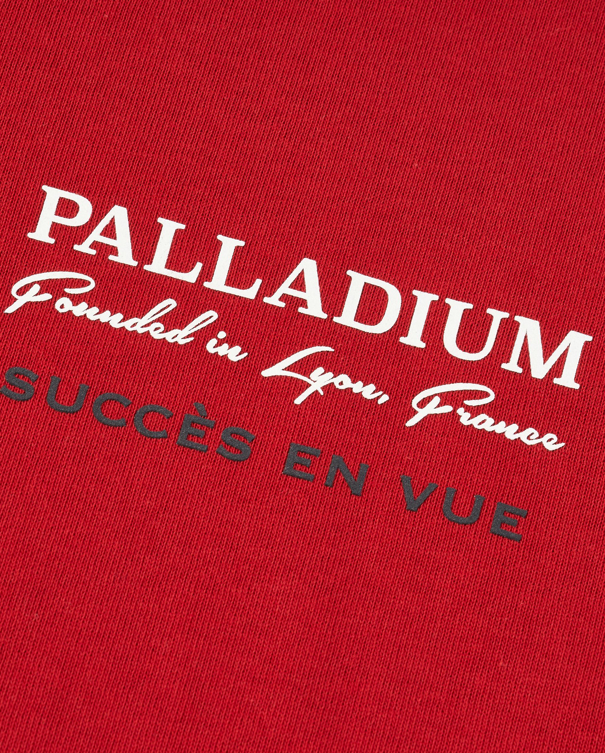 1012788-603 | MEN'S CNY THEME LOGO LOOSE FIT COTTON T-SHIRT | EMBOLDENED