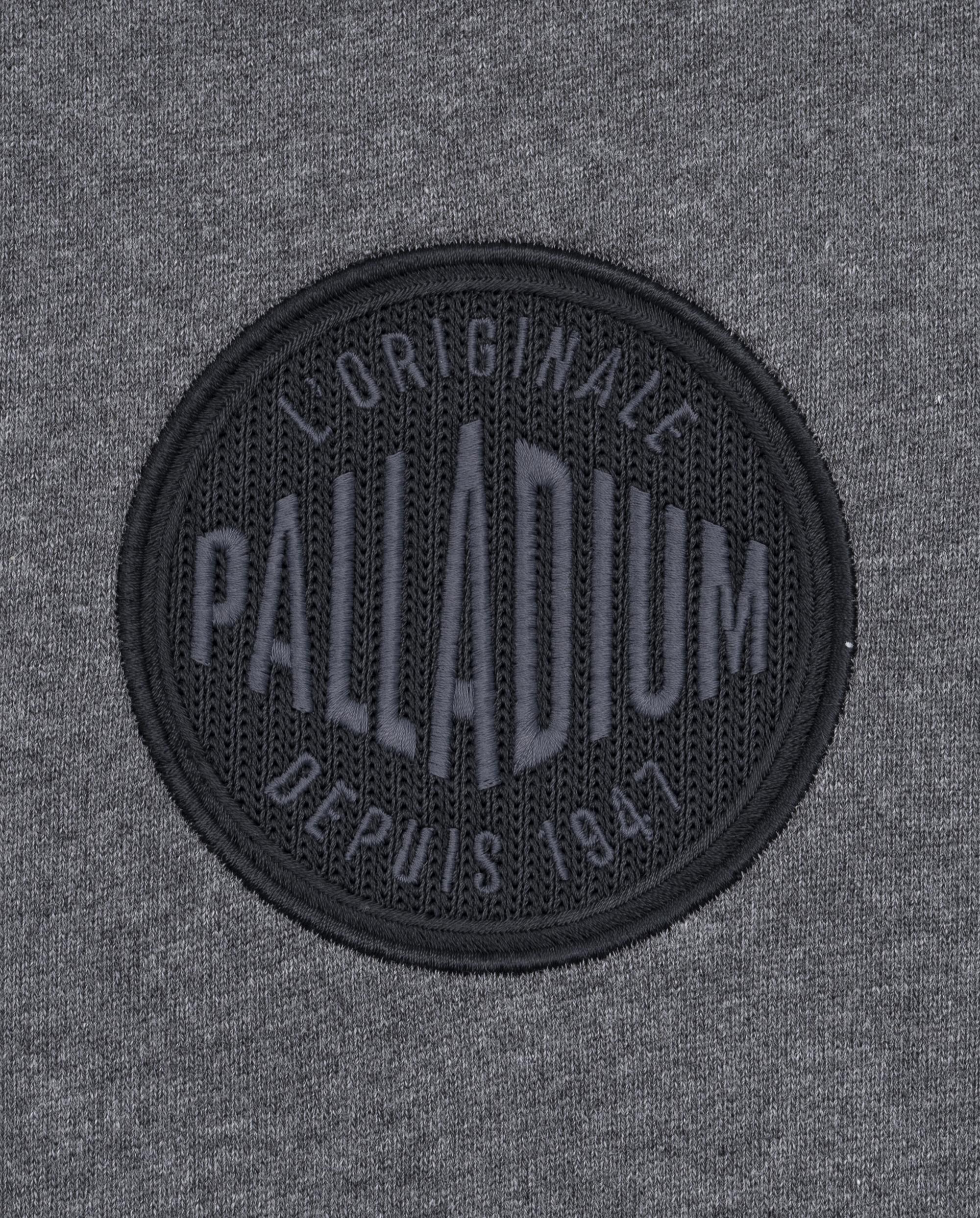 107779-036 | MEN'S PALLADIUM LOGO LOOSE FIT COTTON HOODIE | IRON GATE