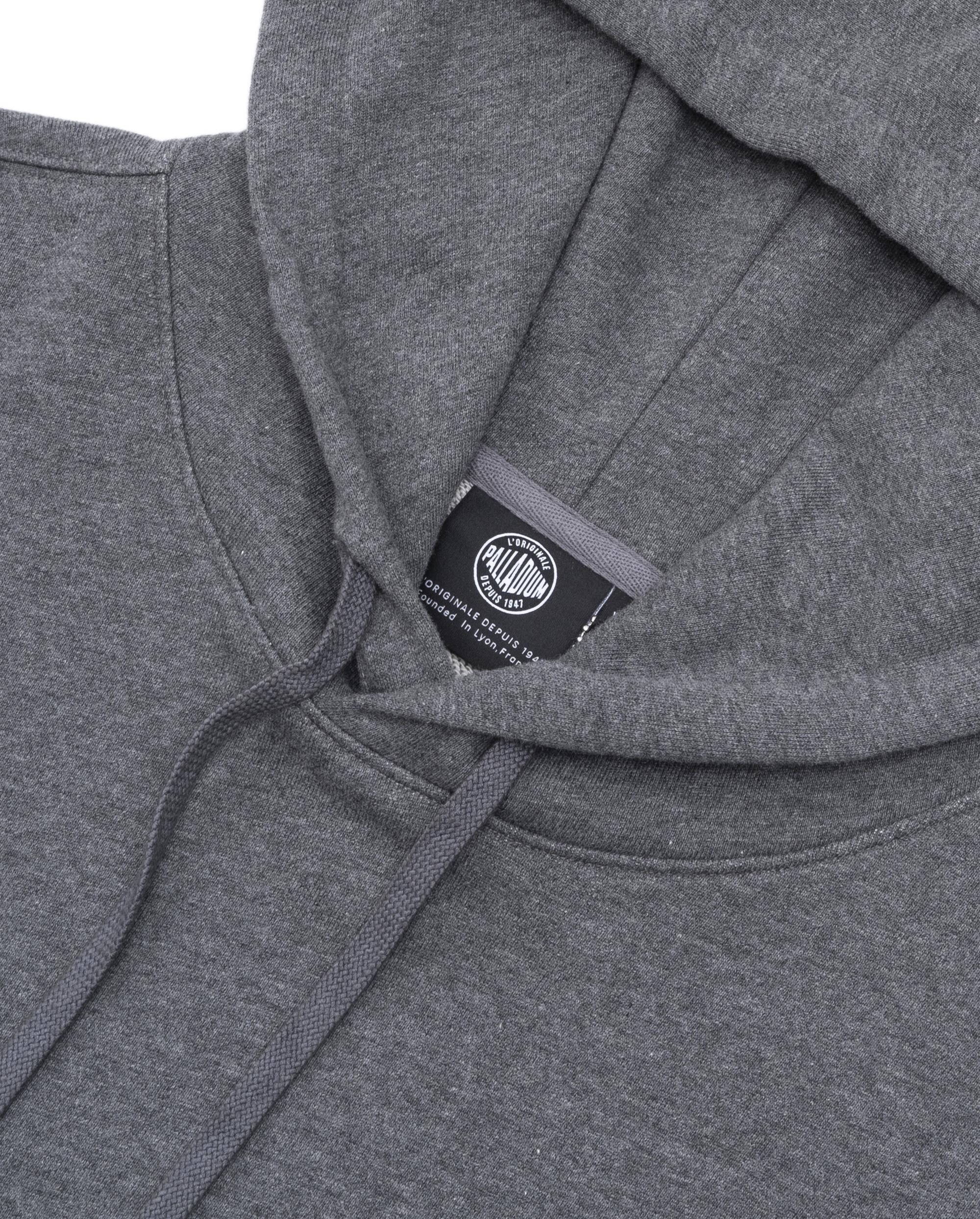 107779-036 | MEN'S PALLADIUM LOGO LOOSE FIT COTTON HOODIE | IRON GATE