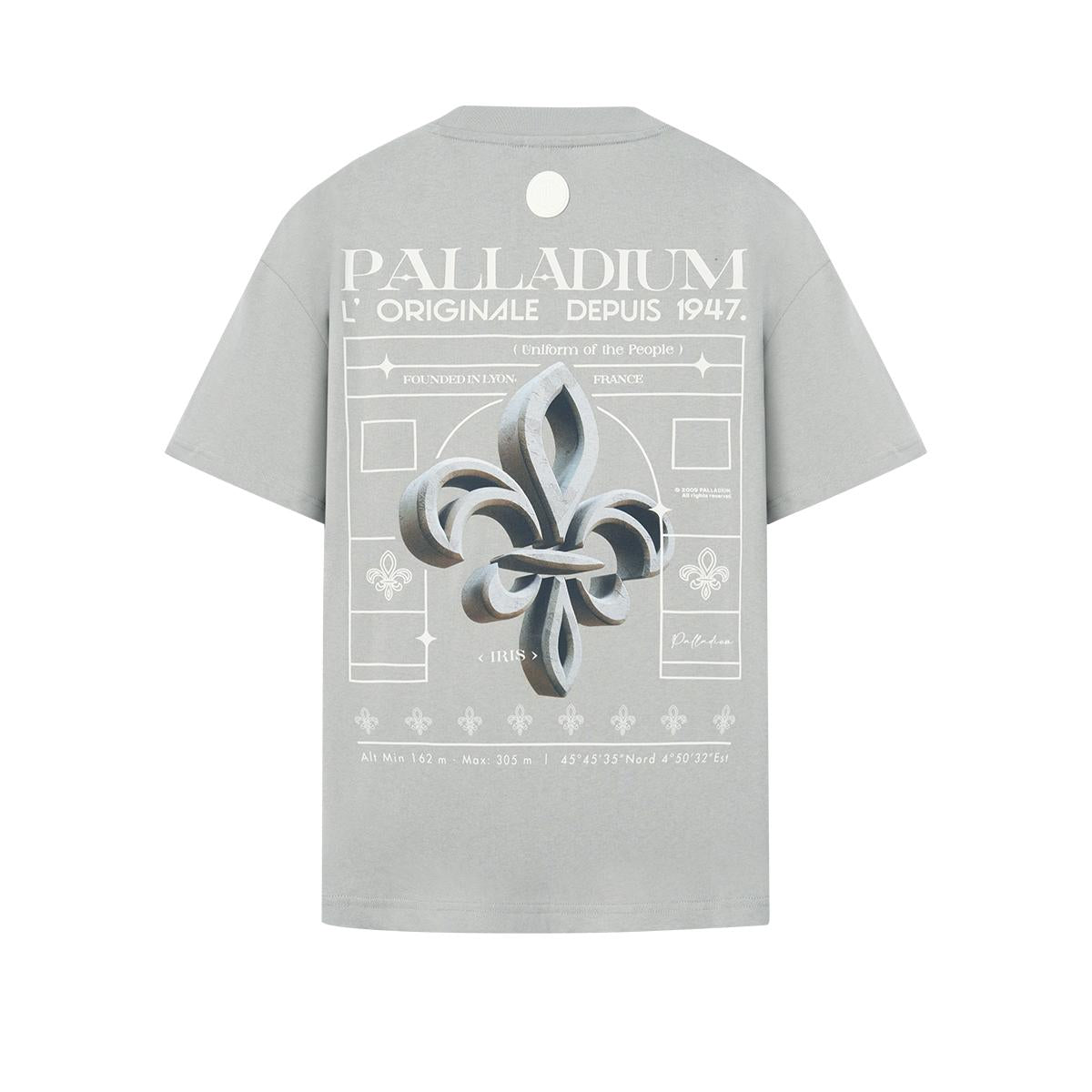 109648-031 | MEN'S VINTAGE PALLADIUM LOGO LOOSE FIT COTTON T-SH | FLINT GRAY