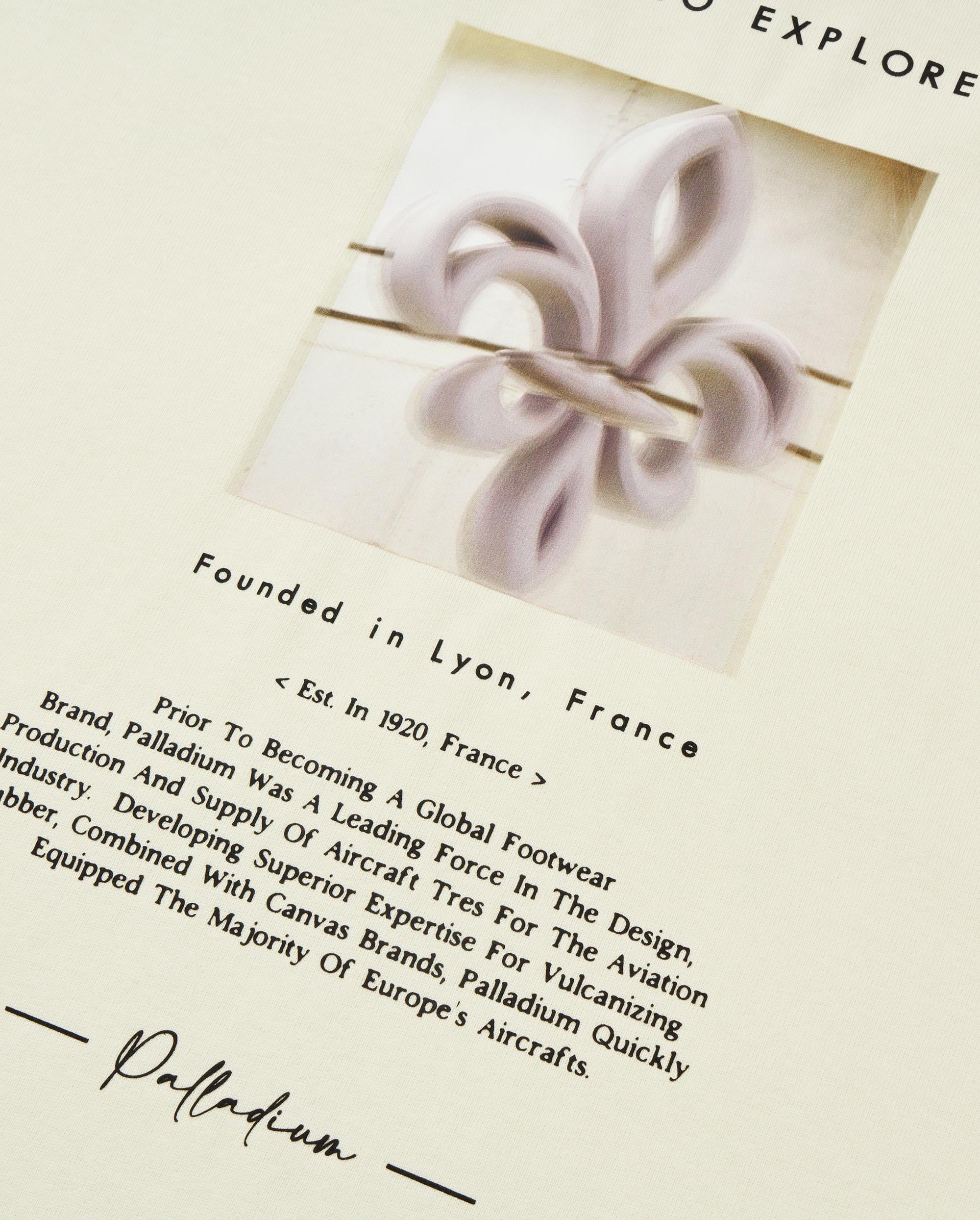 109650-232 | MEN'S IRIS THEME PRINTED LOOSE FIT COTTON T-SHIRT | VANILLA ICE