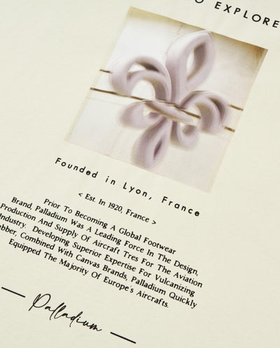 109650-232 | MEN'S IRIS THEME PRINTED LOOSE FIT COTTON T-SHIRT | VANILLA ICE