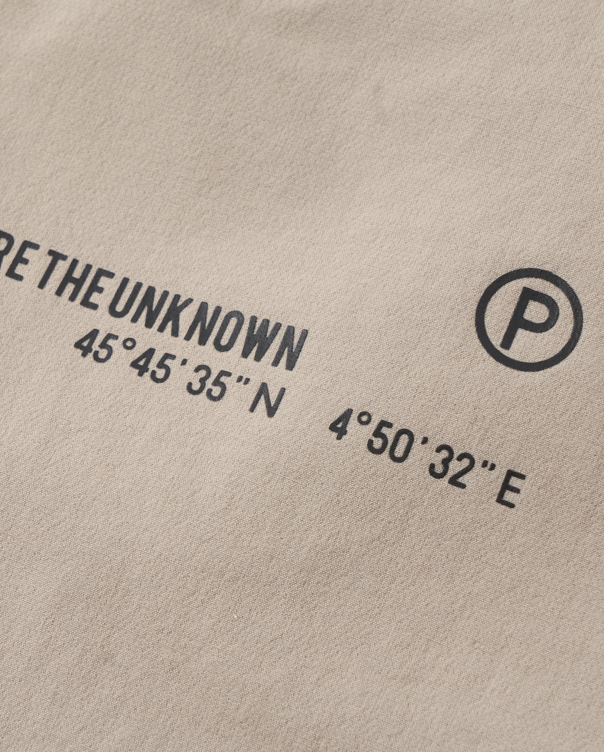 1911400-050 | WOMEN'S PALLADIUM LOGO STRAIGHT PANTS | MOON ROCK