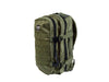BG623-308 | BAROUDEUR 25L PR | DUSKY GREEN