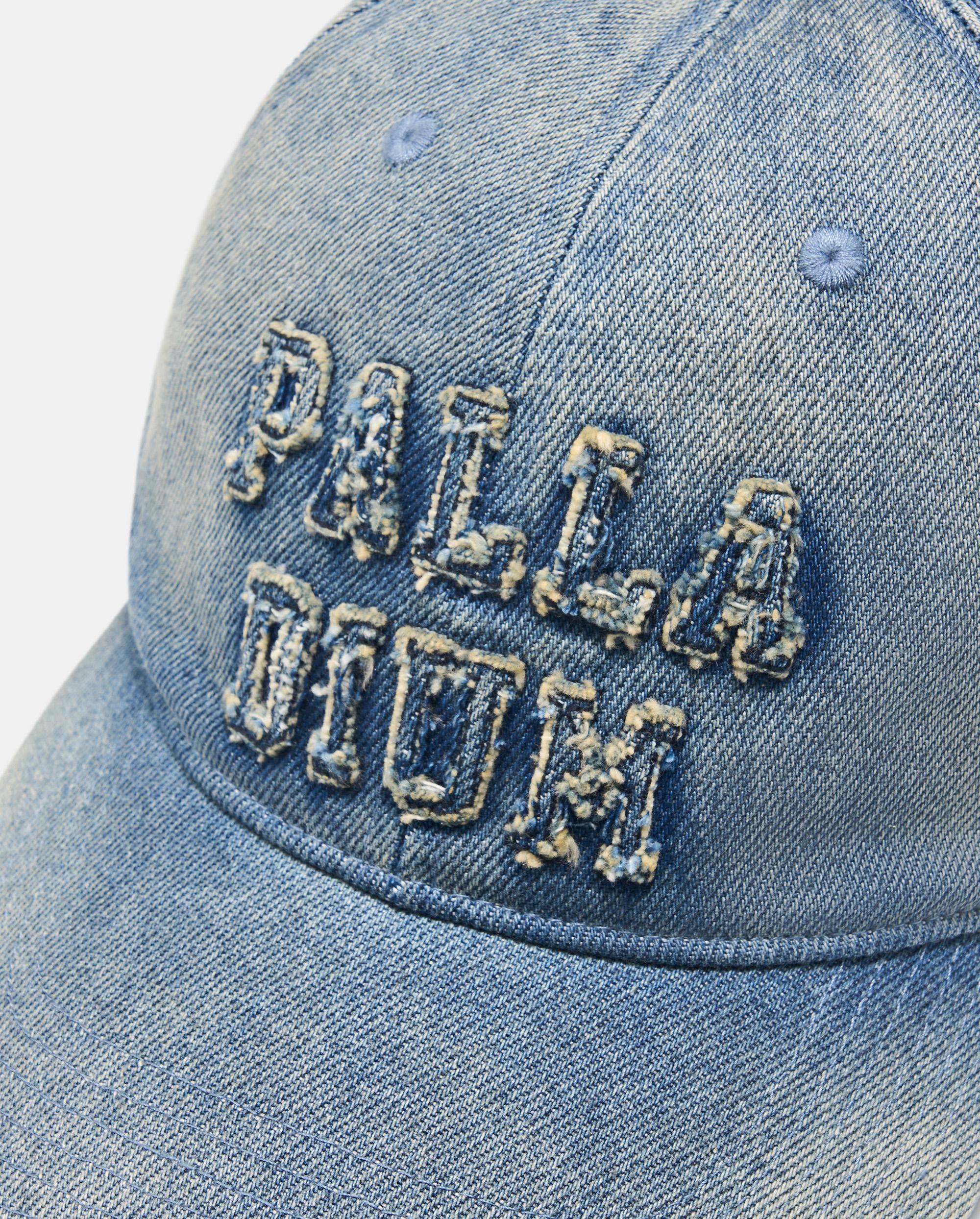 C3539-070 | VINTAGE WASHED PALLADIUM LOGO CAP | NORTHERN DROPLET