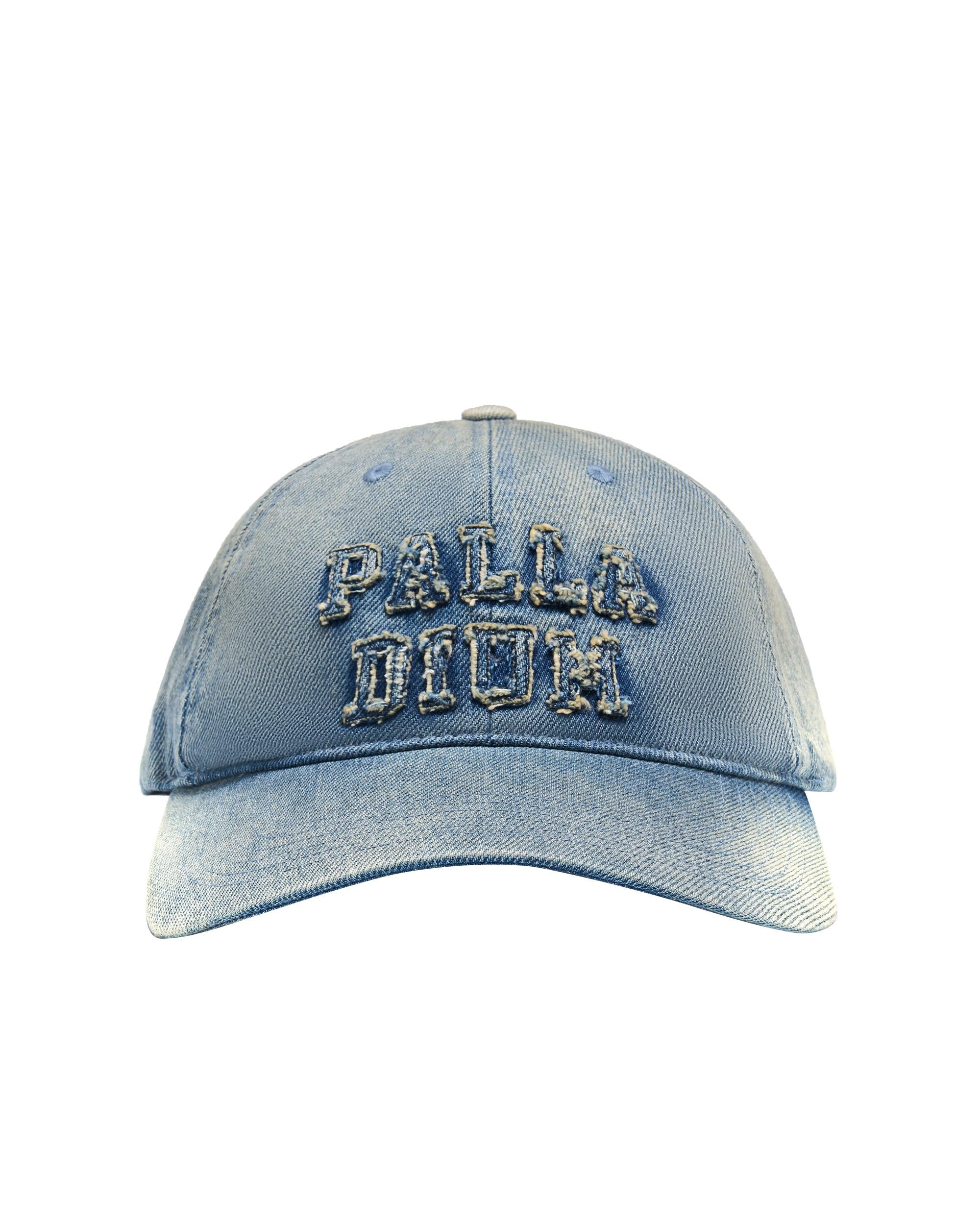 C3539-070 | VINTAGE WASHED PALLADIUM LOGO CAP | NORTHERN DROPLET